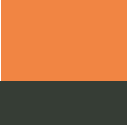 orange/ carbon