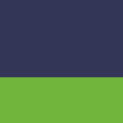 navy/ lime
