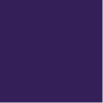 team purple