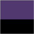 purple/ black